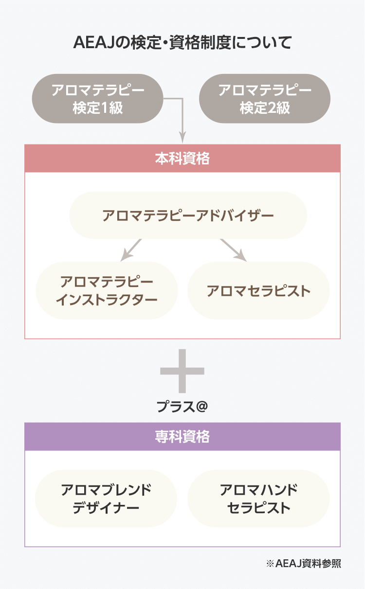 AEAJの検定・資格制度について