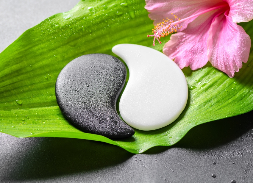 経穴・経絡セラピスト講座