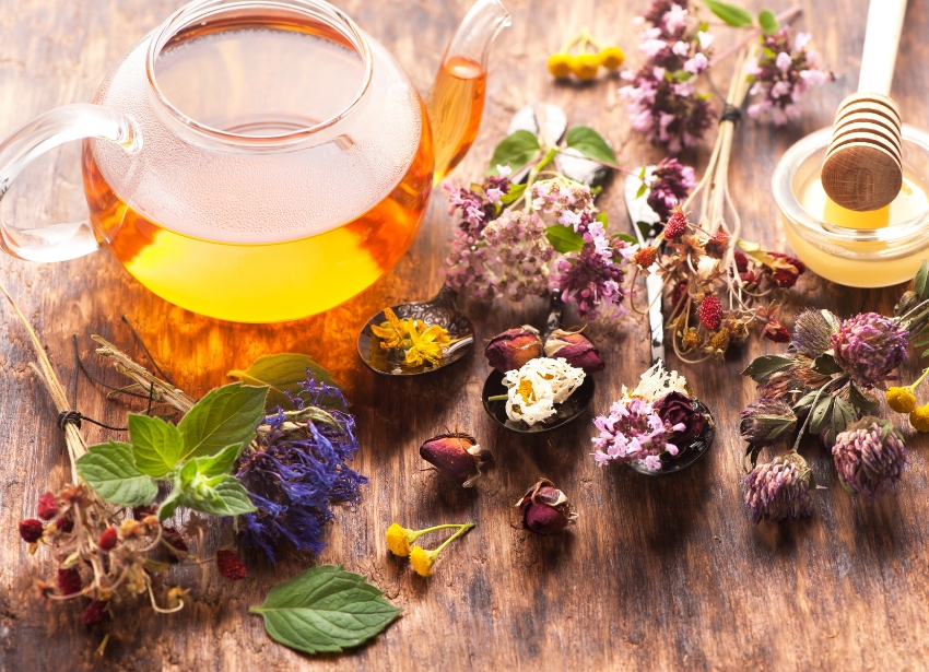 ハーブフィトケミカルマイスター講座