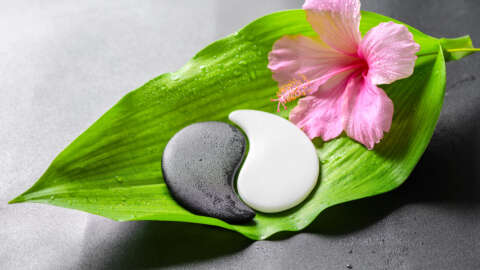 経穴・経絡セラピスト講座