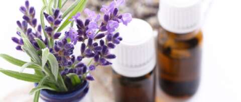 findwork-advantageous