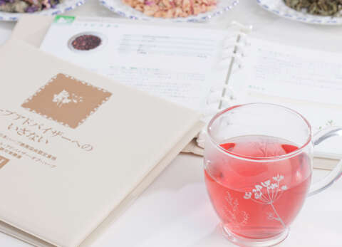 植物の知識を深め、アロマテラピーを理解する