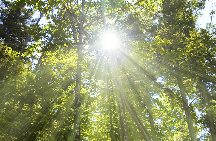 自分らしい働き方は感性の扉をも開いてくれる
