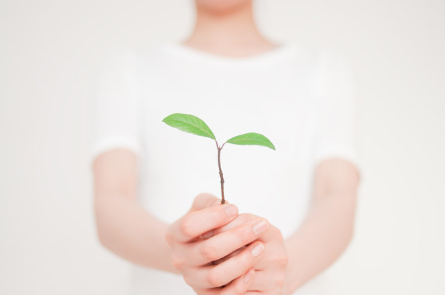 サステナブルな社会に貢献するアロマテラピーとは？